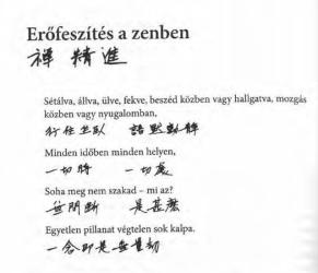 Erőfeszítés a zenben